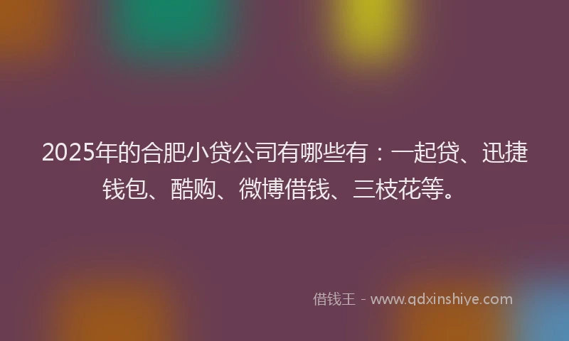 2025年的合肥小贷公司有哪些有：一起贷、迅捷钱包、酷购、微博借钱、三枝花等。