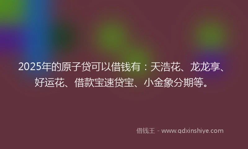 2025年的原子贷可以借钱有：天浩花、龙龙享、好运花、借款宝速贷宝、小金象分期等。