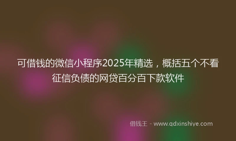 可借钱的微信小程序2025年精选，概括五个不看征信负债的网贷百分百下款软件