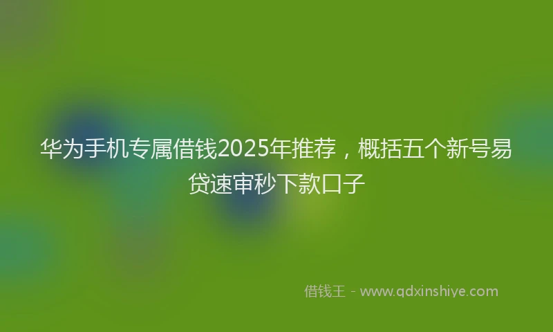 华为手机专属借钱2025年推荐，概括五个新号易贷速审秒下款口子