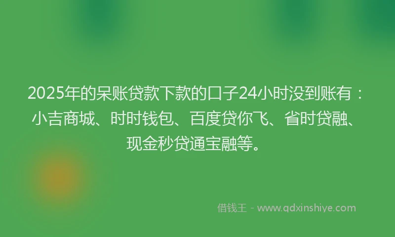 2025年的呆账贷款下款的口子24小时没到账有：小吉商城、时时钱包、百度贷你飞、省时贷融、现金秒贷通宝融等。