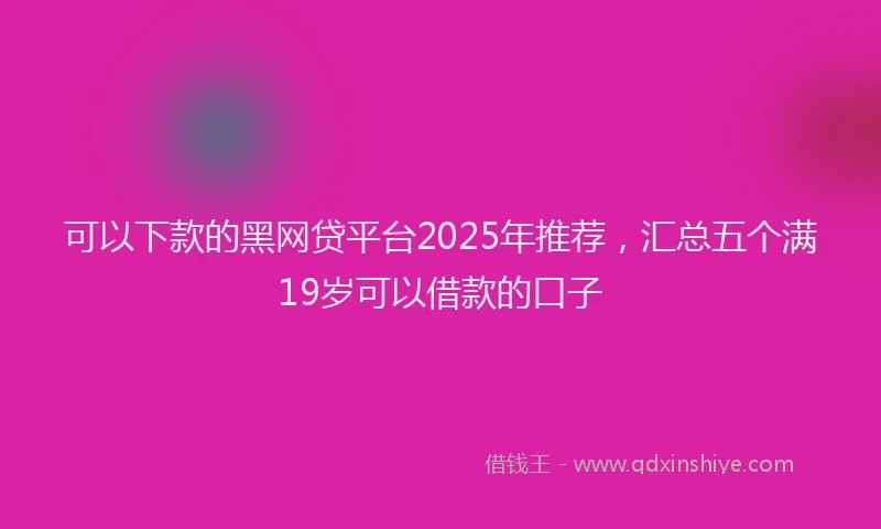 可以下款的黑网贷平台2025年推荐，汇总五个满19岁可以借款的口子