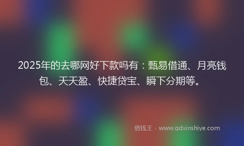 2025年的去哪网好下款吗有：甄易借通、月亮钱包、天天盈、快捷贷宝、瞬下分期等。