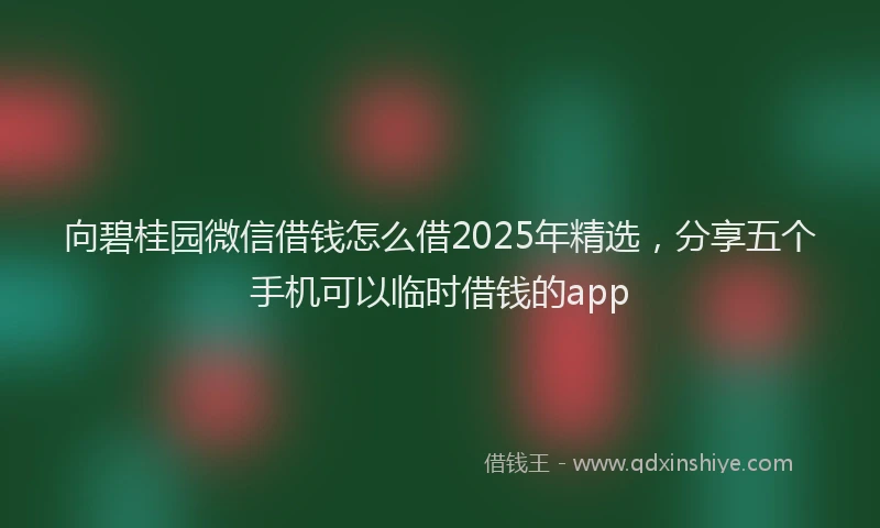 向碧桂园微信借钱怎么借2025年精选，分享五个手机可以临时借钱的app