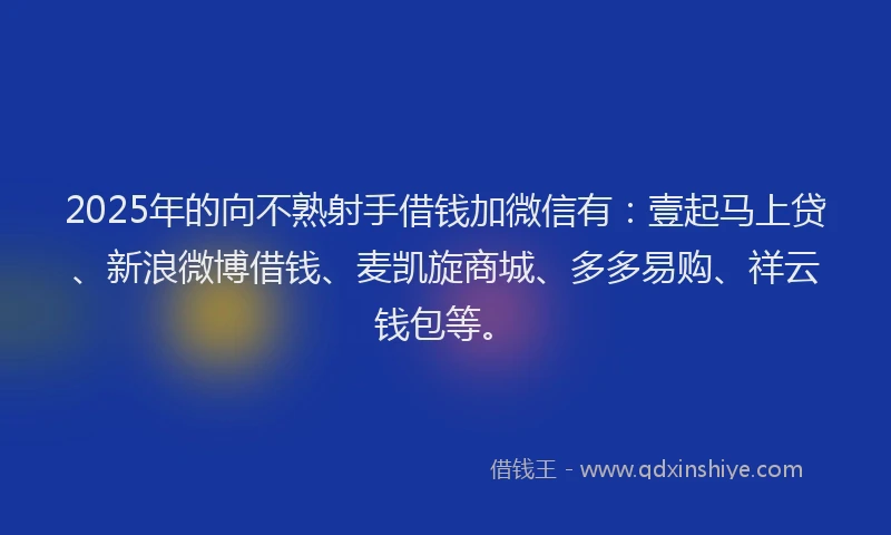 2025年的向不熟射手借钱加微信有：壹起马上贷、新浪微博借钱、麦凯旋商城、多多易购、祥云钱包等。