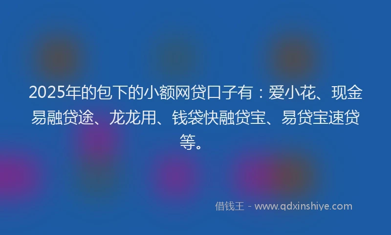 2025年的包下的小额网贷口子有：爱小花、现金易融贷途、龙龙用、钱袋快融贷宝、易贷宝速贷等。
