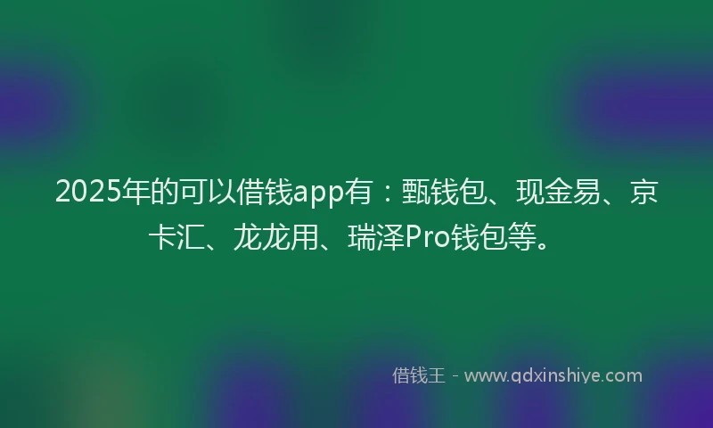 2025年的可以借钱app有：甄钱包、现金易、京卡汇、龙龙用、瑞泽Pro钱包等。