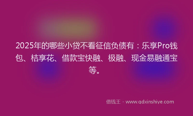 2025年的哪些小贷不看征信负债有：乐享Pro钱包、桔享花、借款宝快融、极融、现金易融通宝等。