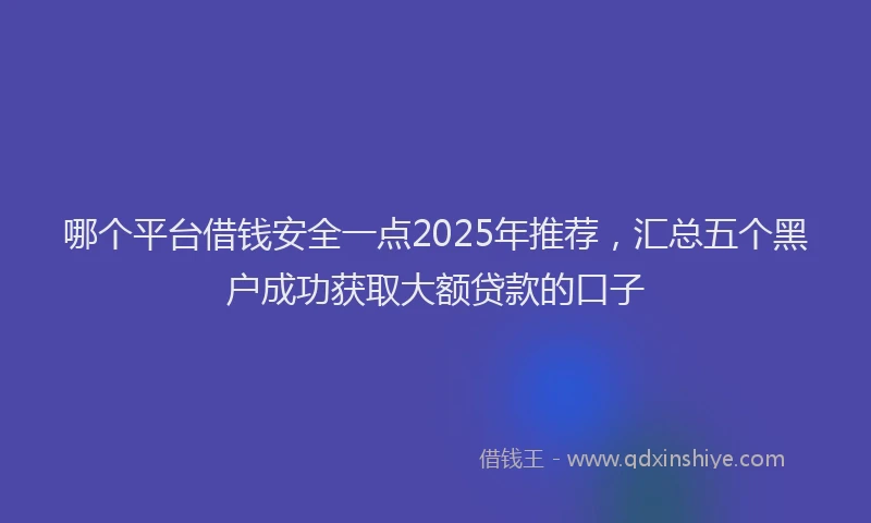 哪个平台借钱安全一点2025年推荐，汇总五个黑户成功获取大额贷款的口子