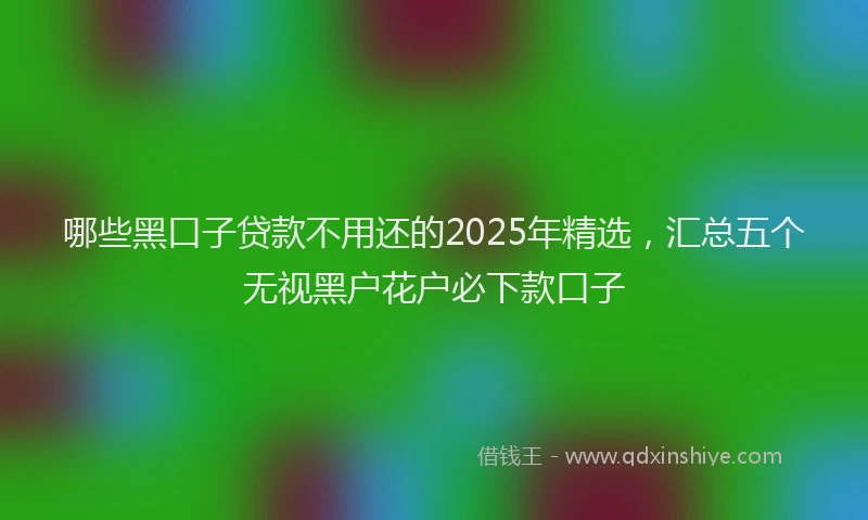 哪些黑口子贷款不用还的2025年精选，汇总五个无视黑户花户必下款口子