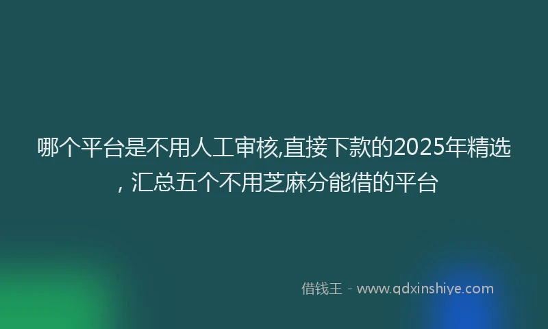 哪个平台是不用人工审核,直接下款的2025年精选，汇总五个不用芝麻分能借的平台