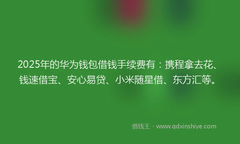 2025年的华为钱包借钱手续费有：携程拿去花、钱速借宝、安心易贷、小米随星借、东方汇等。