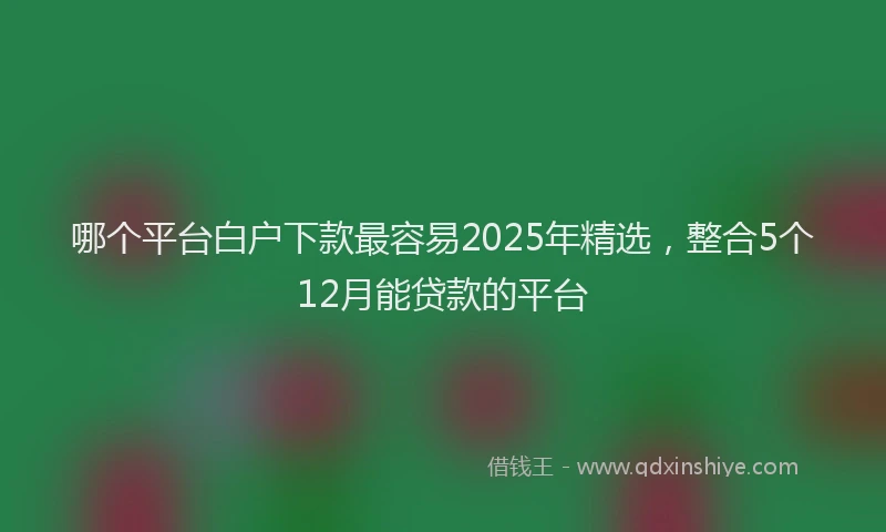 哪个平台白户下款最容易2025年精选，整合5个12月能贷款的平台