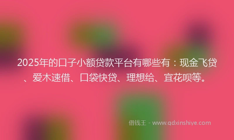 2025年的口子小额贷款平台有哪些有：现金飞贷、爱木速借、口袋快贷、理想给、宜花呗等。