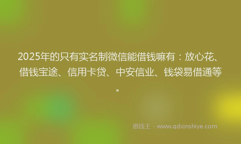 2025年的只有实名制微信能借钱嘛有：放心花、借钱宝途、信用卡贷、中安信业、钱袋易借通等。