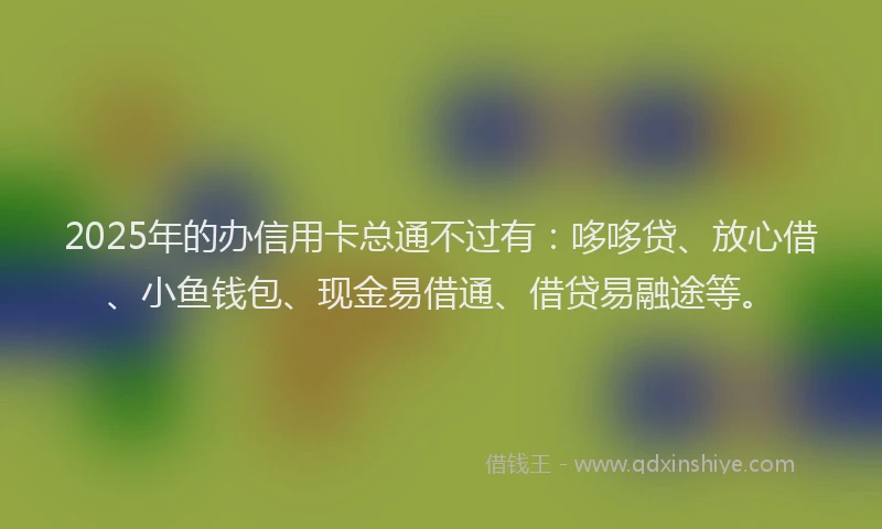 2025年的办信用卡总通不过有：哆哆贷、放心借、小鱼钱包、现金易借通、借贷易融途等。