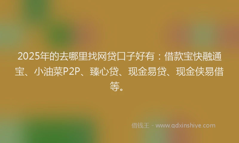 2025年的去哪里找网贷口子好有：借款宝快融通宝、小油菜P2P、臻心贷、现金易贷、现金侠易借等。