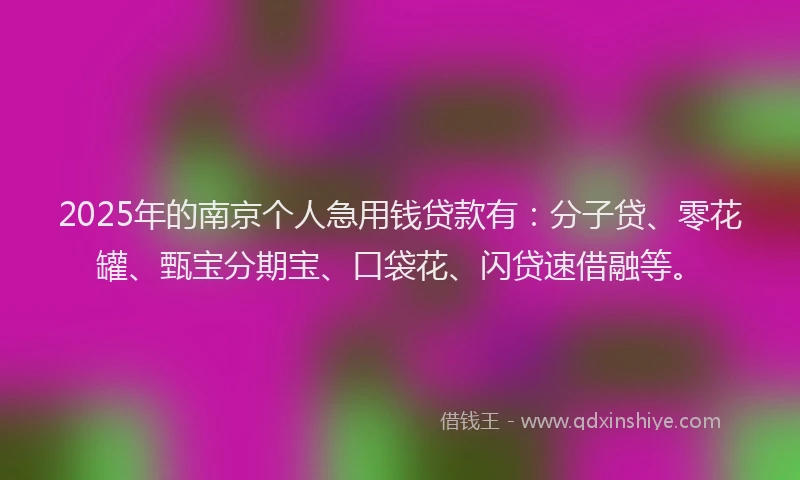 2025年的南京个人急用钱贷款有：分子贷、零花罐、甄宝分期宝、口袋花、闪贷速借融等。