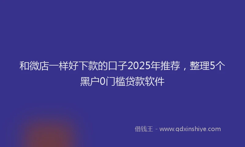 和微店一样好下款的口子2025年推荐，整理5个黑户0门槛贷款软件