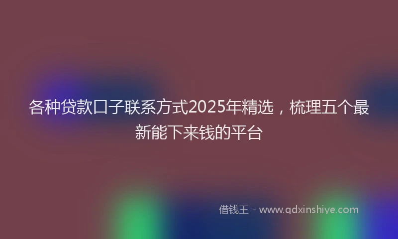 各种贷款口子联系方式2025年精选，梳理五个最新能下来钱的平台