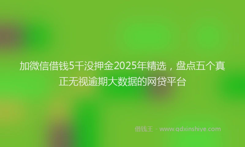 加微信借钱5千没押金2025年精选，盘点五个真正无视逾期大数据的网贷平台