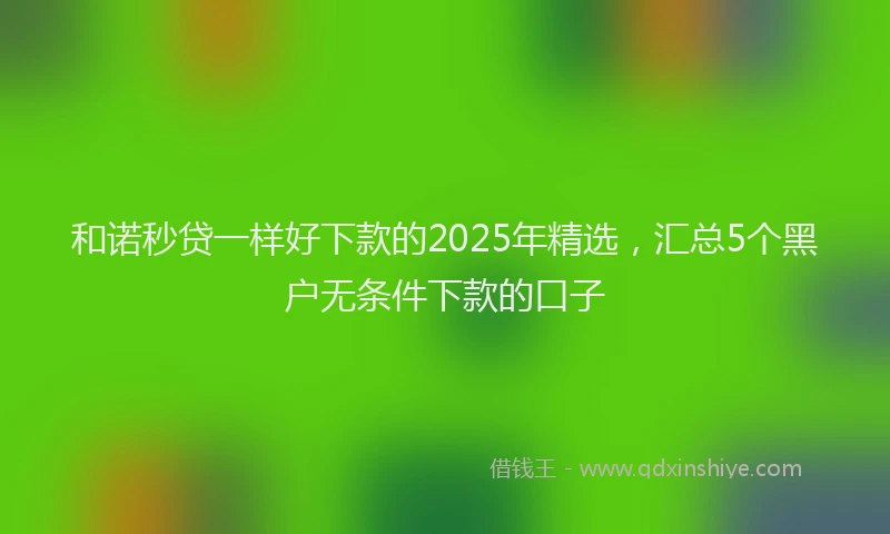 和诺秒贷一样好下款的2025年精选，汇总5个黑户无条件下款的口子