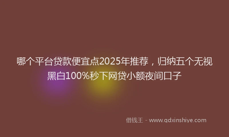 哪个平台贷款便宜点2025年推荐，归纳五个无视黑白100%秒下网贷小额夜间口子