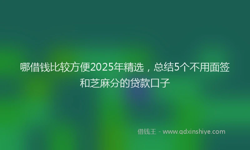 哪借钱比较方便2025年精选，总结5个不用面签和芝麻分的贷款口子