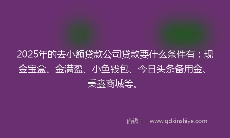 2025年的去小额贷款公司贷款要什么条件有：现金宝盒、金满盈、小鱼钱包、今日头条备用金、秉鑫商城等。
