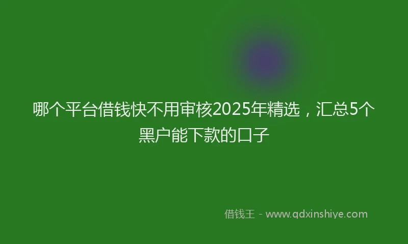 哪个平台借钱快不用审核2025年精选，汇总5个黑户能下款的口子