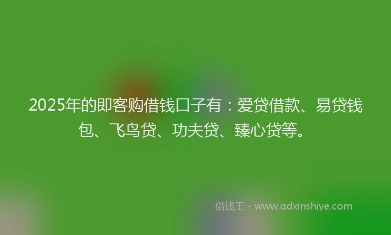 2025年的即客购借钱口子有：爱贷借款、易贷钱包、飞鸟贷、功夫贷、臻心贷等。