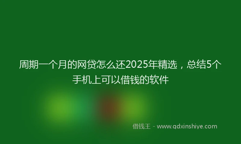 周期一个月的网贷怎么还2025年精选，总结5个手机上可以借钱的软件