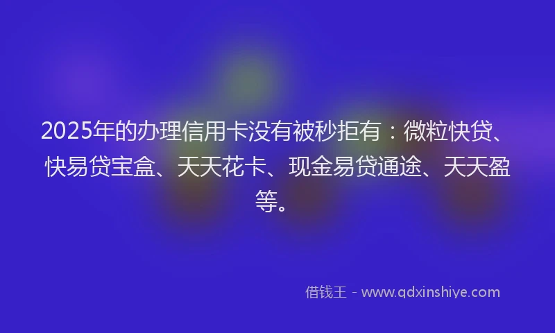 2025年的办理信用卡没有被秒拒有：微粒快贷、快易贷宝盒、天天花卡、现金易贷通途、天天盈等。