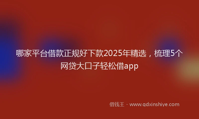 哪家平台借款正规好下款2025年精选，梳理5个网贷大口子轻松借app