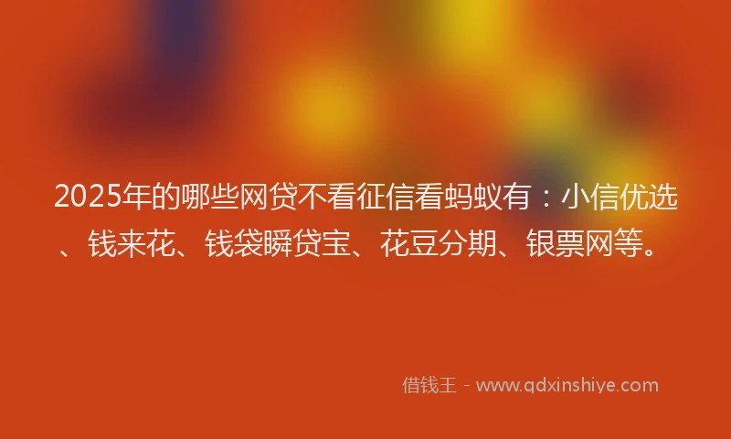 2025年的哪些网贷不看征信看蚂蚁有：小信优选、钱来花、钱袋瞬贷宝、花豆分期、银票网等。