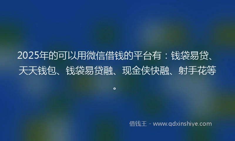 2025年的可以用微信借钱的平台有：钱袋易贷、天天钱包、钱袋易贷融、现金侠快融、射手花等。