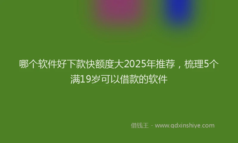 哪个软件好下款快额度大2025年推荐，梳理5个满19岁可以借款的软件