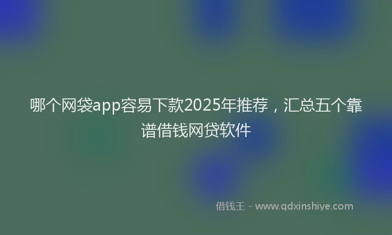 哪个网袋app容易下款2025年推荐，汇总五个靠谱借钱网贷软件