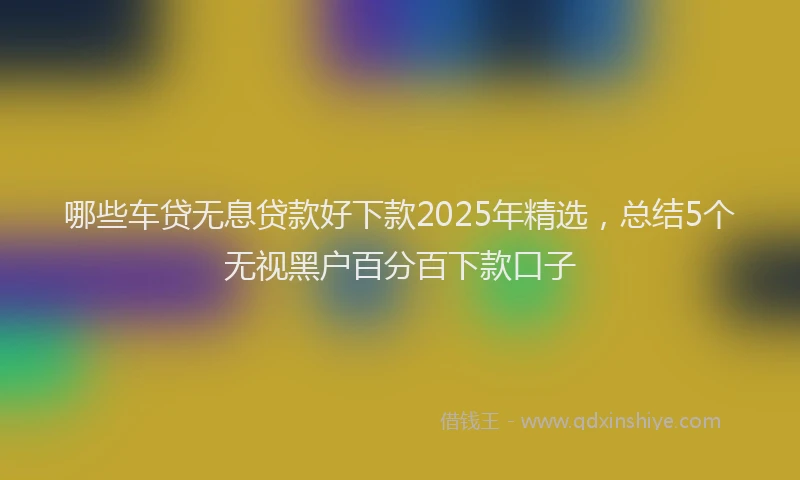 哪些车贷无息贷款好下款2025年精选，总结5个无视黑户百分百下款口子