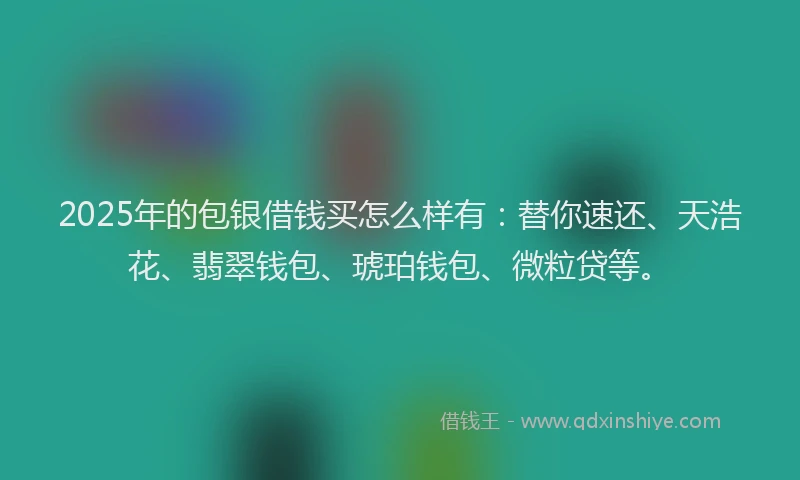 2025年的包银借钱买怎么样有：替你速还、天浩花、翡翠钱包、琥珀钱包、微粒贷等。