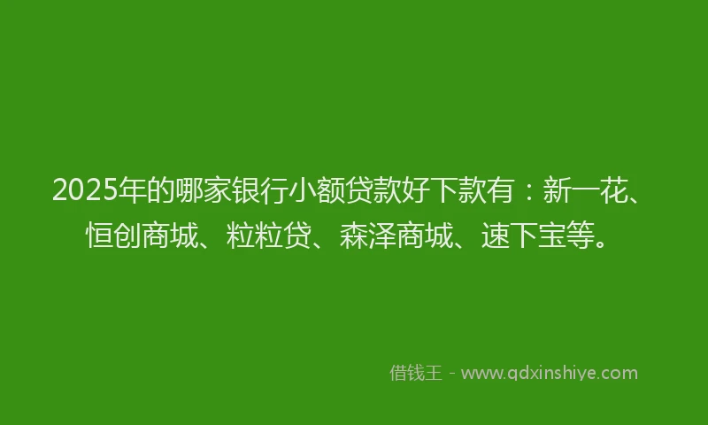 2025年的哪家银行小额贷款好下款有：新一花、恒创商城、粒粒贷、森泽商城、速下宝等。