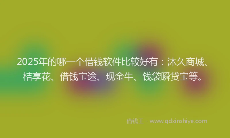 2025年的哪一个借钱软件比较好有：沐久商城、桔享花、借钱宝途、现金牛、钱袋瞬贷宝等。