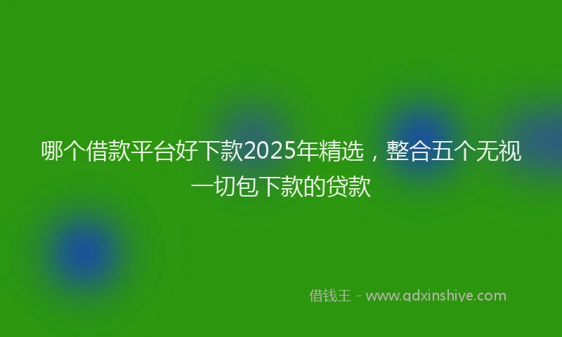 哪个借款平台好下款2025年精选，整合五个无视一切包下款的贷款