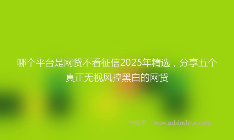 哪个平台是网贷不看征信2025年精选，分享五个真正无视风控黑白的网贷