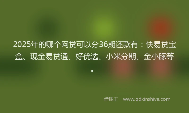 2025年的哪个网贷可以分36期还款有：快易贷宝盒、现金易贷通、好优选、小米分期、金小豚等。