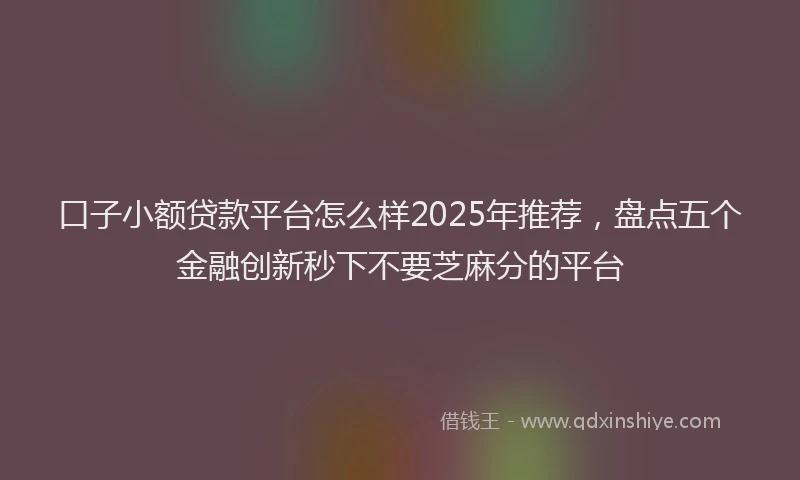口子小额贷款平台怎么样2025年推荐，盘点五个金融创新秒下不要芝麻分的平台