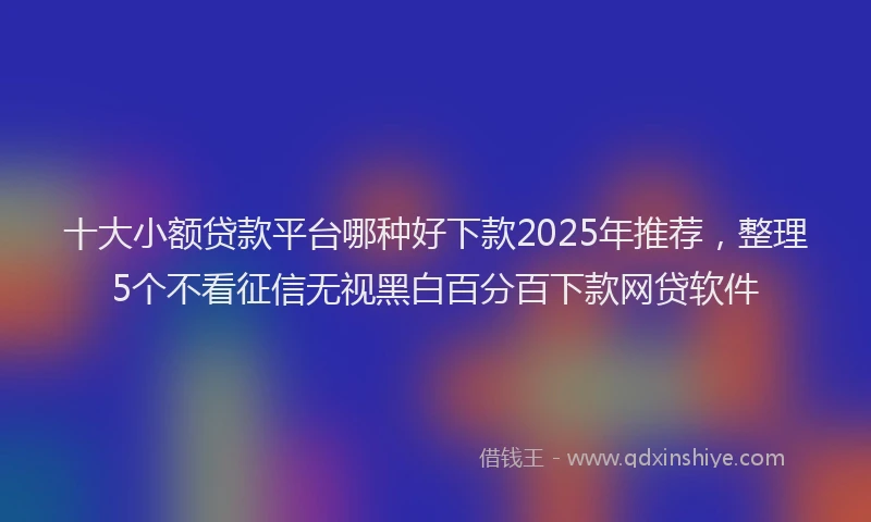 十大小额贷款平台哪种好下款2025年推荐，整理5个不看征信无视黑白百分百下款网贷软件