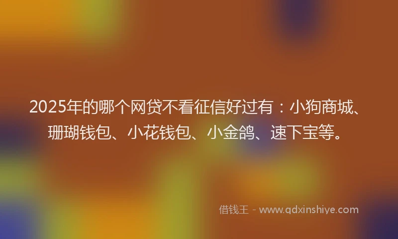 2025年的哪个网贷不看征信好过有：小狗商城、珊瑚钱包、小花钱包、小金鸽、速下宝等。