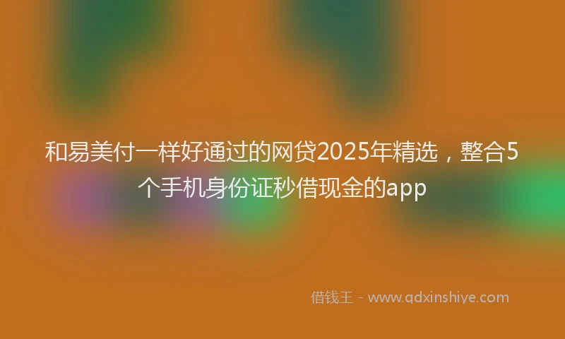 和易美付一样好通过的网贷2025年精选，整合5个手机身份证秒借现金的app