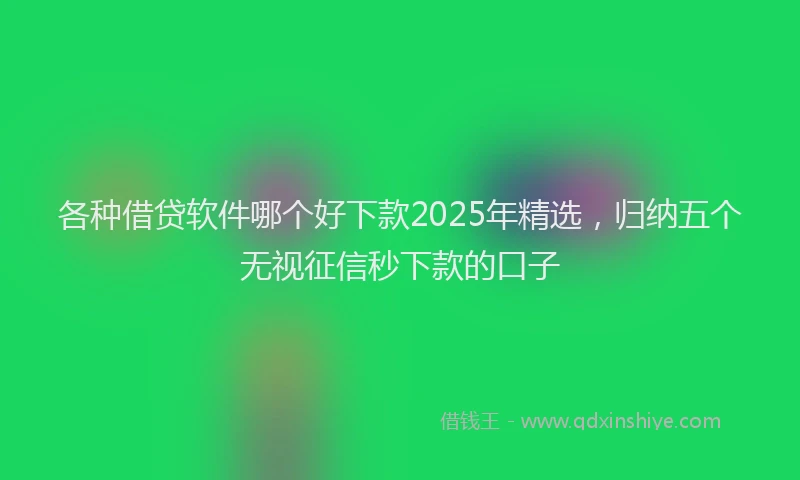 各种借贷软件哪个好下款2025年精选，归纳五个无视征信秒下款的口子